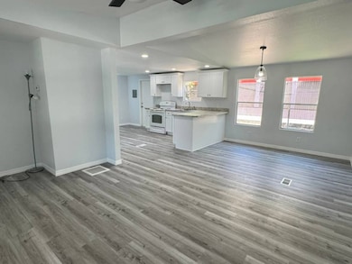 30700 US Highway 19 N, Palm Harbor, FL 34684 - photo 4