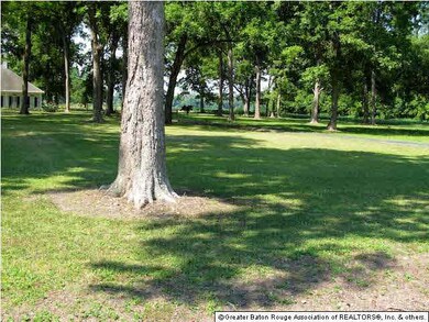 Great shady yard