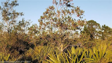 625 N Range Dr, Lorida, FL 33857 - photo 2