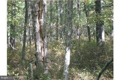 0 Deep Spring Rd unit 1003582428, Dorcas, WV 26847 - photo 7