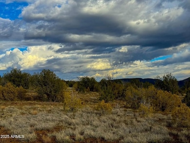 10500 W Big Moon Ln, Ash Fork, AZ 86320 - photo 6