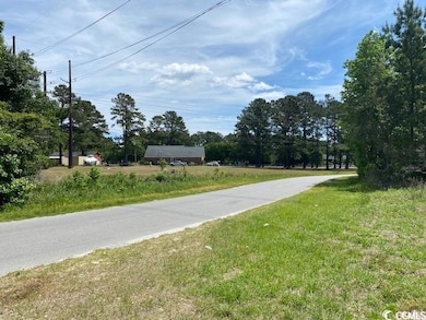 TBD Liz Ln, Conway, SC 29527 - photo 2