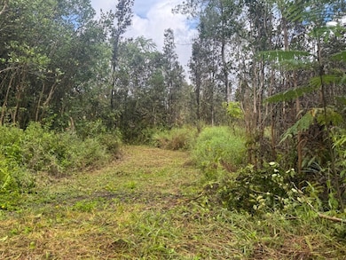 0 Pikake St unit 725043, Mountain View, HI 96771 - photo 5