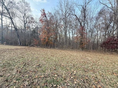 0 Tom Ball Rd, Randleman, NC 27317 - photo 3