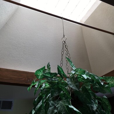 Kitchen Skylight