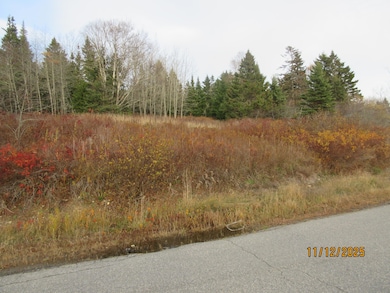 Lot 1 Smalls Point Rd, MacHiasport, ME 04655 - photo 4