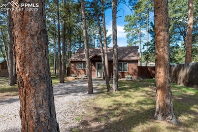 509 Dallas Aly, Woodland Park, CO 80863 - photo 3