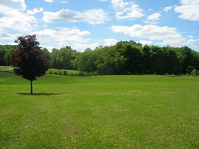 View. Front side yard view!