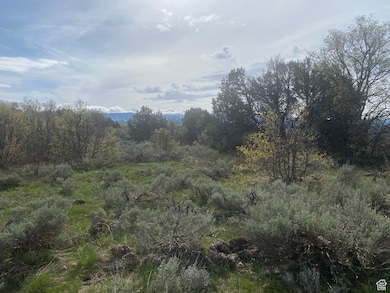 7 Bear River unit 7, Preston, ID 83263 - photo 4