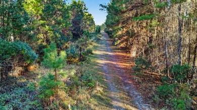 0 Do Hi Way, Hilliard, FL 32046 - photo 2