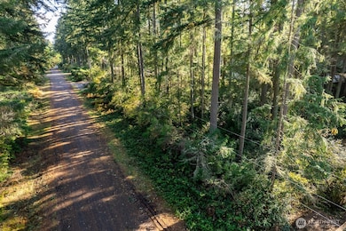 11324 Laurel Place, Anderson Island, WA 98303 - photo 3