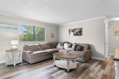 Living area with a textured ceiling, ornamental mo