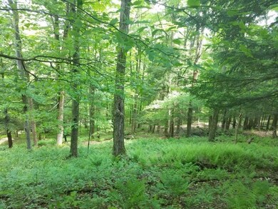 00 German Hill Rd Rd, Greenwood, NY 14839 - photo 7