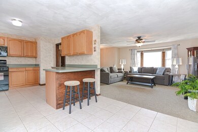 3 Hattie Ln, Billerica, MA 01821 - photo 3