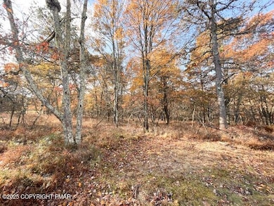 491 Mallard Ln, Bushkill, PA 18324 - photo 3