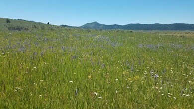 Enjoy Spring Wildflowers & Mountain Views