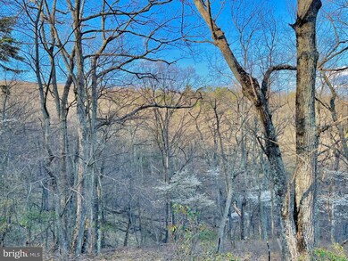 LOT 64 Laurel Run, Mathias, WV 26812 - photo 4