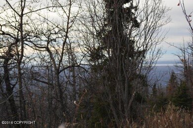 L12 & L13 Middle Rd, Anchorage, AK 99577 - photo 2