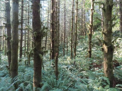 0 State Hwy 4 unit 7, Graysriver, WA 98621 - photo 7