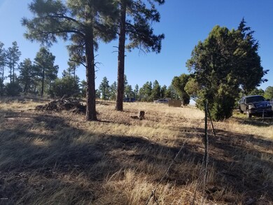 0 Whipple and Central unit 219962, Show Low, AZ 85901 - photo 6