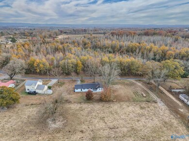 1681 Lena Rd, Horton, AL 35980 - photo 4