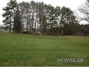 Beautiful large yard