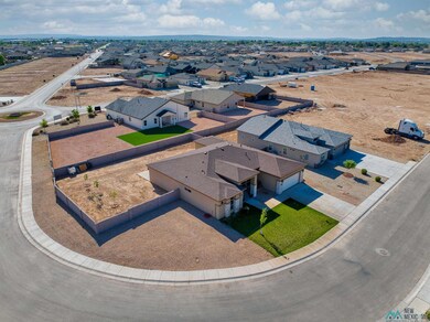 3813 S Sunnyview Ave, Carlsbad, NM 88220 - photo 4