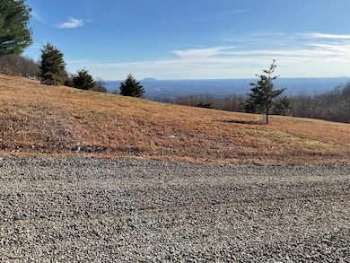 TBD W Pheasant Chase, Fancy Gap, VA 24053 - photo 6