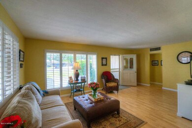 orangewood_03