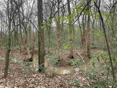 Tract 2 Cr 350, Bono, AR 72416 - photo 2