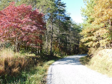 5.88 Grassland Dr, Sandy Level, VA 24161 - photo 3