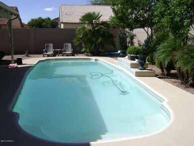 Gorgeous Pool