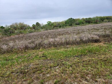 15679 NW 296th St, Okeechobee, FL 34972 - photo 7