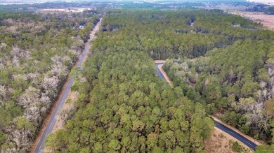 LOT 83 Fiddlers Cove NE, Townsend, GA 31331 - photo 5