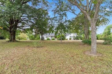 16699 Romulus Rd, Ralph, AL 35480 - photo 3