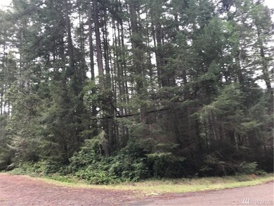 11311 Admiralty Way unit AI, Anderson Island, WA 98303 - photo 6