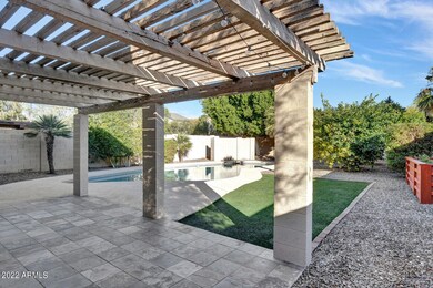 Backyard Paradise with Citrus Trees