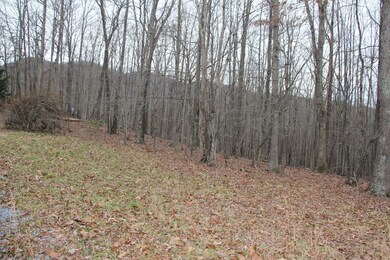 Mountain Views to Rear of Lot