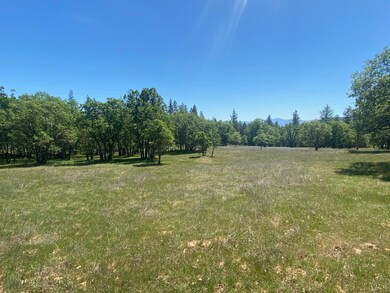 Meadow 3