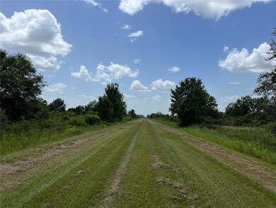 17915 NW 290th St, Okeechobee, FL 34972 - photo 5