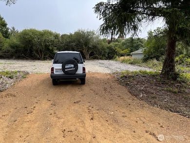 821 Shark Ct SW, Ocean Shores, WA 98569 - photo 2