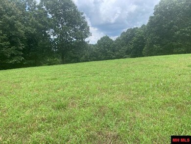 001-04806-002 Colonial Ln, Yellville, AR 72687 - photo 6