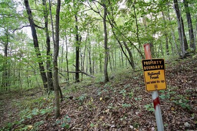 40ac Forest Service Rd 116, Patrick, AR 72727 - photo 3