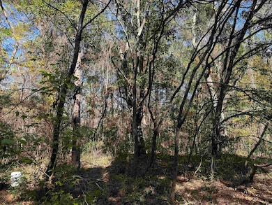 793 Puncheon Creek Dr, Andrews, SC 29510 - photo 6