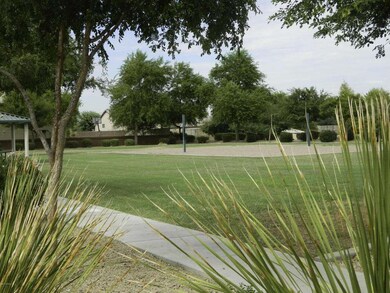 Community Park