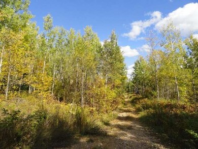 12.5 ac. Schmidt Ln, Argonne, WI 54511 - photo 2