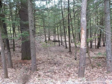 728 Stage Rd, Sanbornton, NH 03269 - photo 2