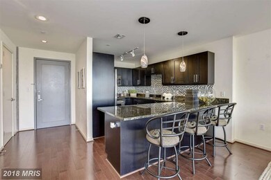 Silo Point unit 317, Baltimore, MD 21230 - photo 6