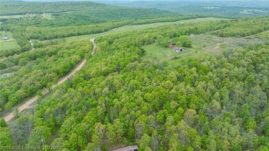 TBD S 4686 Rd, Stoney Point, OK 74955 - photo 5