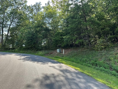 257 Andes Ridge, Ellijay, GA 30436 - photo 4